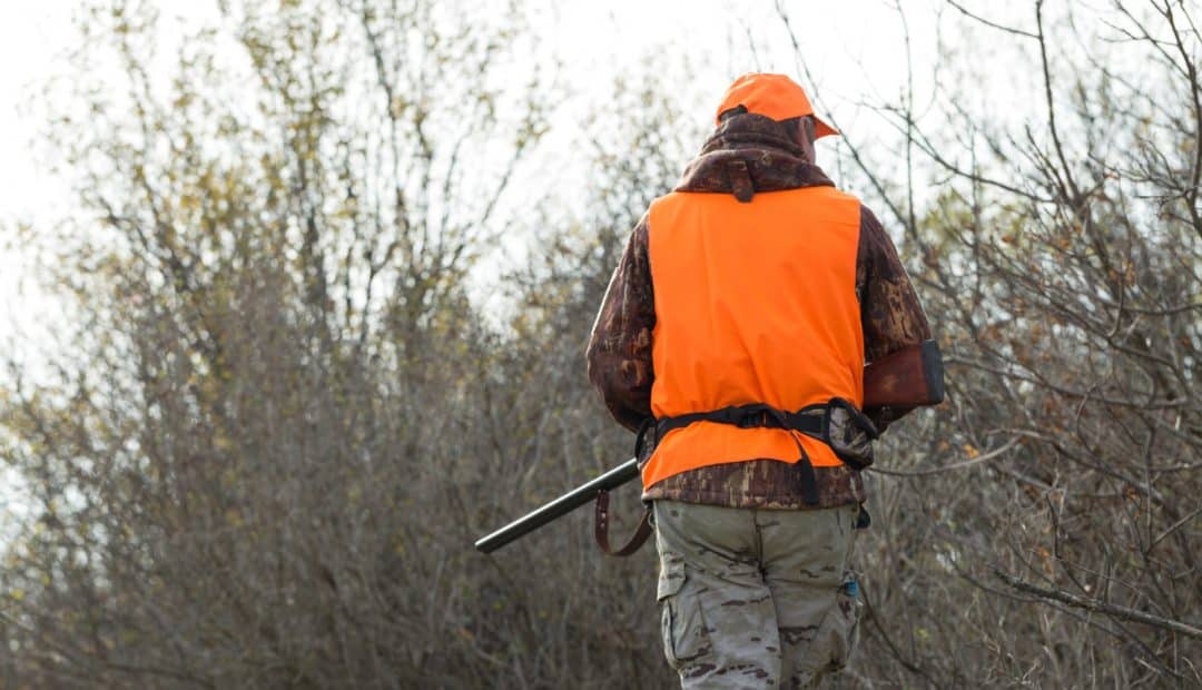 Pourquoi porter une veste orange est essentiel pour chasser en toute sécurité ?